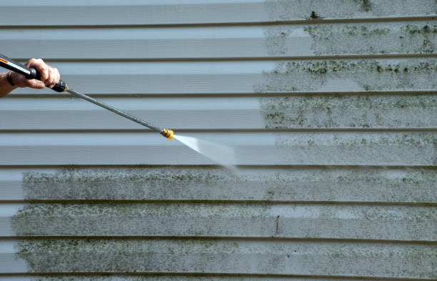 Professional Pressure Washing in Waialua, HI