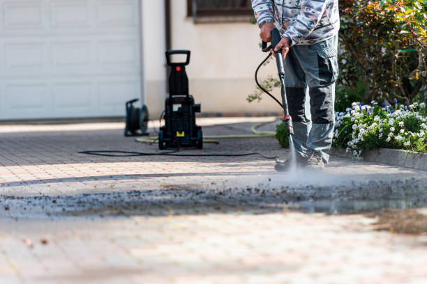 Best House Pressure Washing  in Waialua, HI